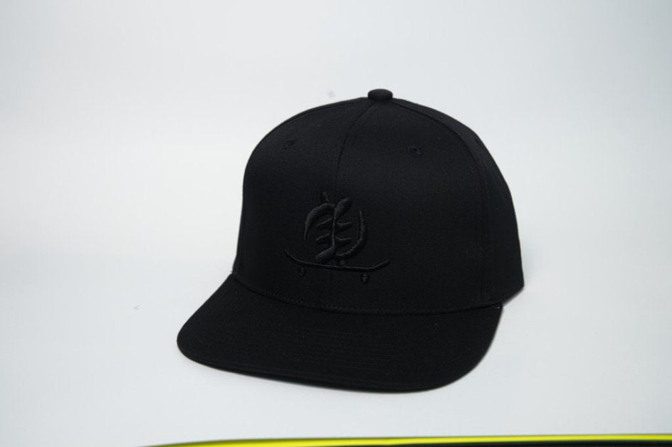 AIM SB Trucker Hats 🧢 🛹